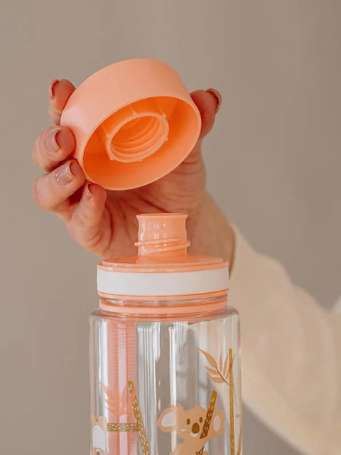 Playground steklenička brez BPA