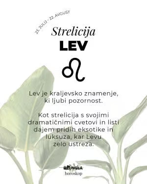 Horoskop rastlina: Lev (Strelicija)