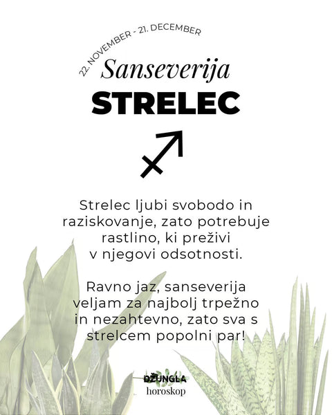 Horoskop rastlina: Strelec (Taščin jezik)