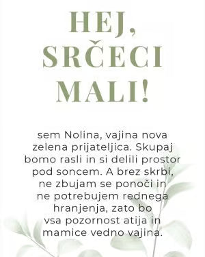 Rastlina ob rojstvu otroka (Nolina)